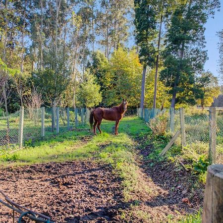 Casa Do Moinho Rural Campo E Praia , 9 Pessoas, Animais Benvindos Espinho  Exterior foto
