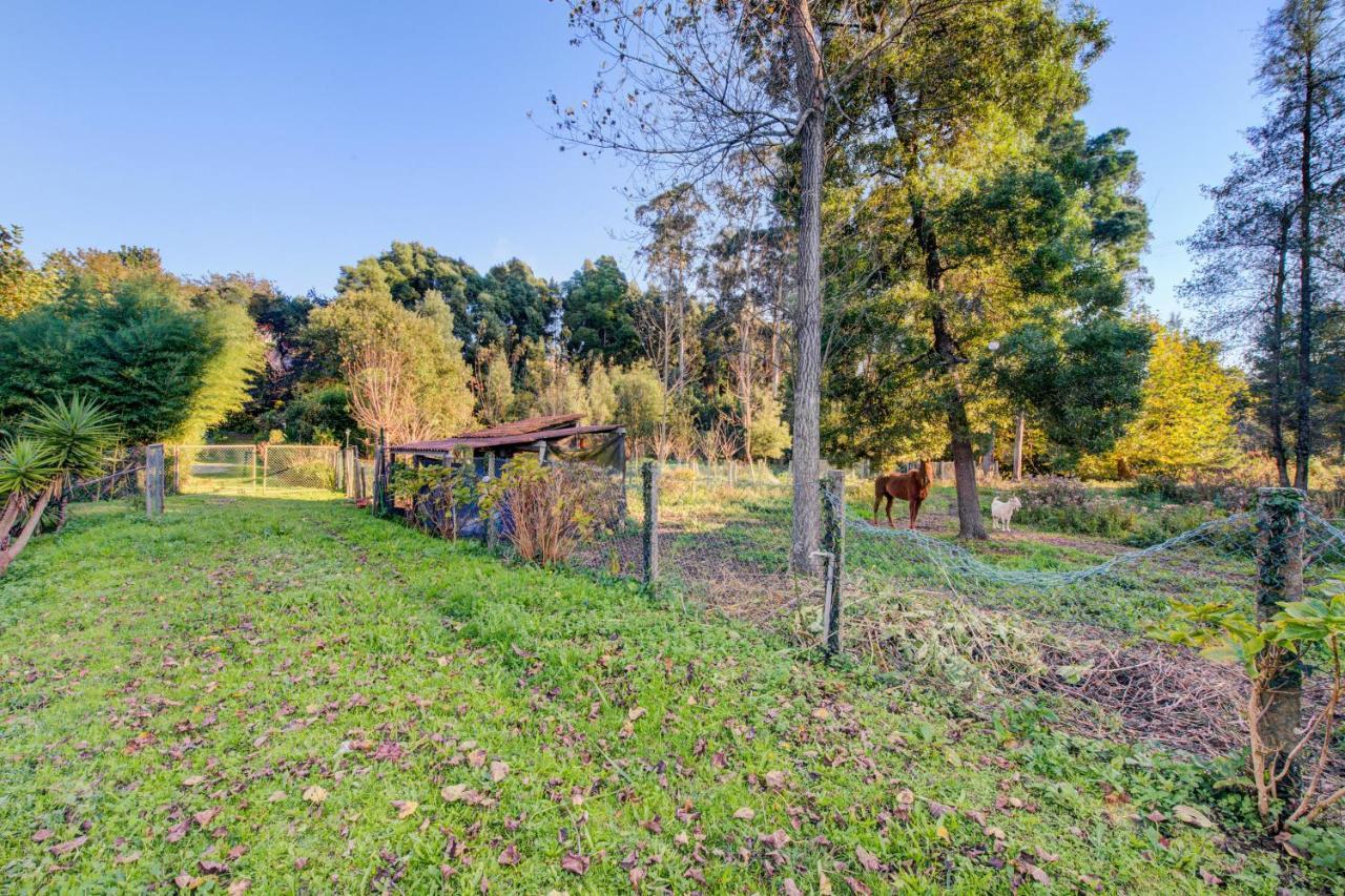 Casa Do Moinho Rural Campo E Praia , 9 Pessoas, Animais Benvindos Espinho  Exterior foto