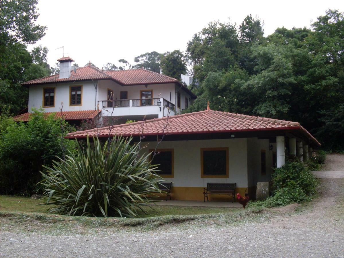 Casa Do Moinho Rural Campo E Praia , 9 Pessoas, Animais Benvindos Espinho  Exterior foto