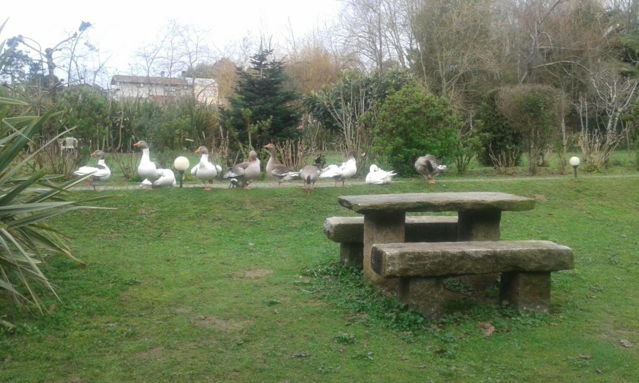 Casa Do Moinho Rural Campo E Praia , 9 Pessoas, Animais Benvindos Espinho  Exterior foto